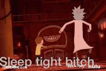 Rick And Morty Sleep Tight Bitch GIF