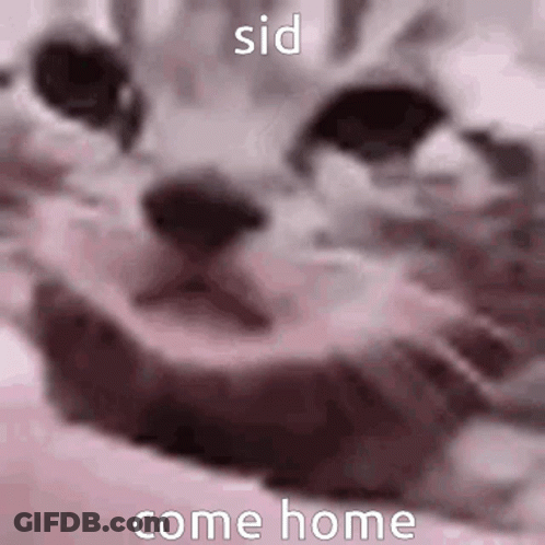 Rick And Morty Standing Next To Each Other GIF