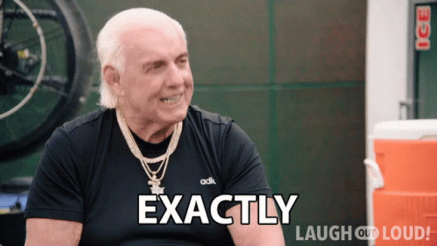 Rick Flair Exactly GIF