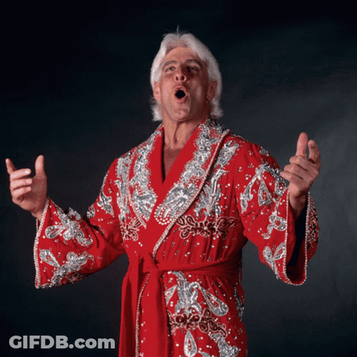Rick Flair Fan Edit GIF