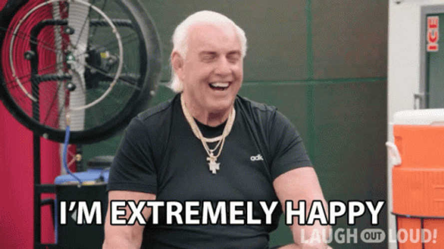 Rick Flair I'm Extremely Happy GIF