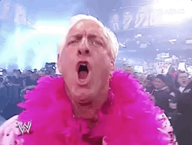 Rick Flair Thrilled Wooo! GIF