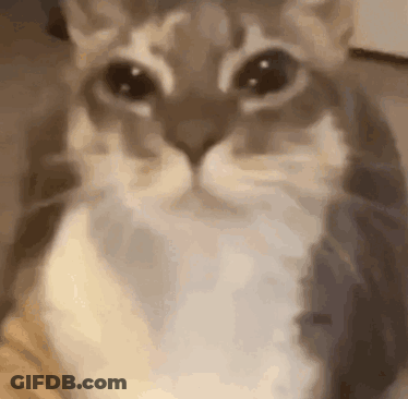 Rick From Rick And Morty Smiling GIF