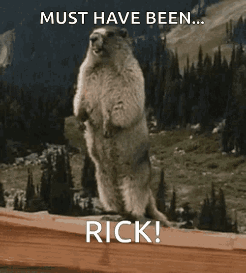Rick Marmot GIF