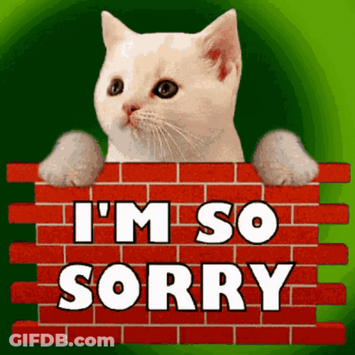 Rick Rolled I'm Sorry Cat GIF