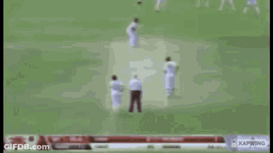 Rickroll Rick Astley Cricket Bat GIF