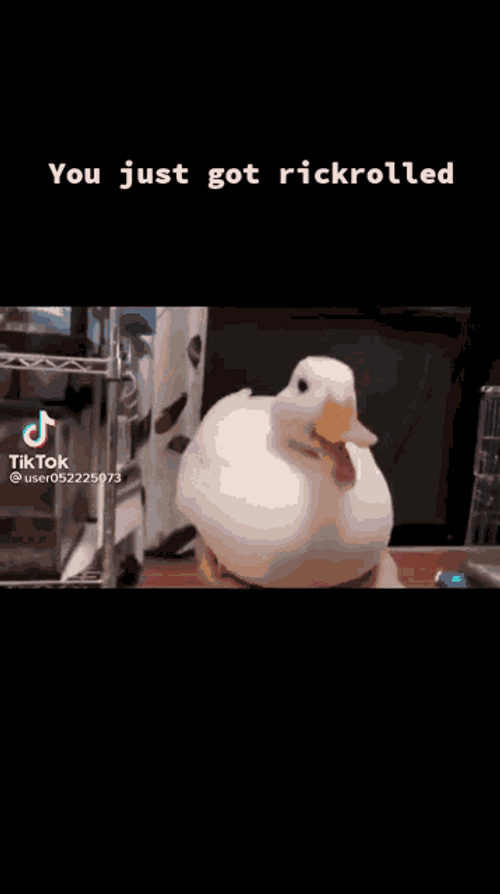 Rickroll Rick Astley Duck Tiktok Cover GIF