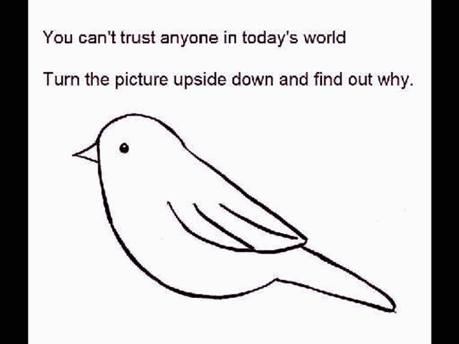 Rickroll Rick Astley Turn The Picture Upside Down Bird GIF