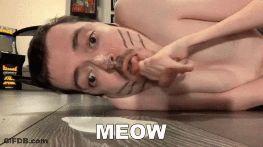 Ricky Berwick Meow GIF