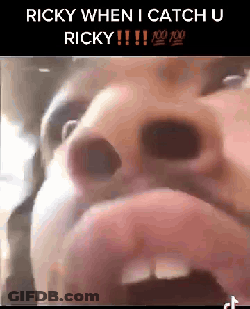 Ricky When I Catch U Ricky 100 100 Ricky GIF