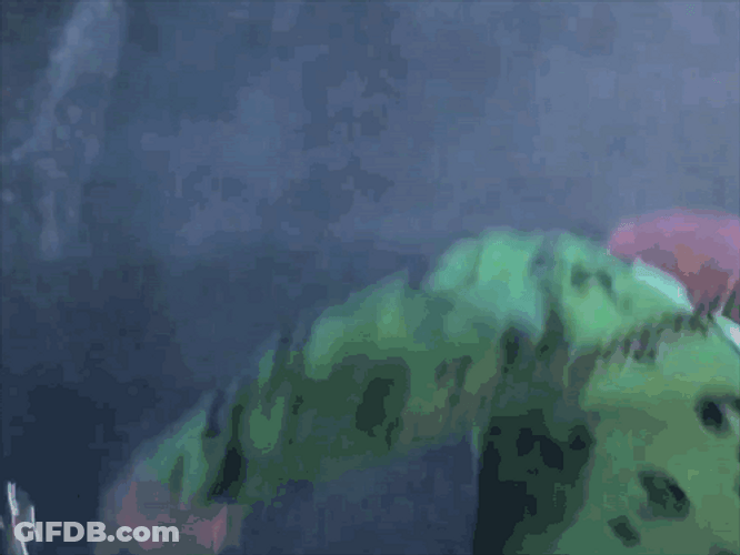 Riddler Ready To Fight GIF