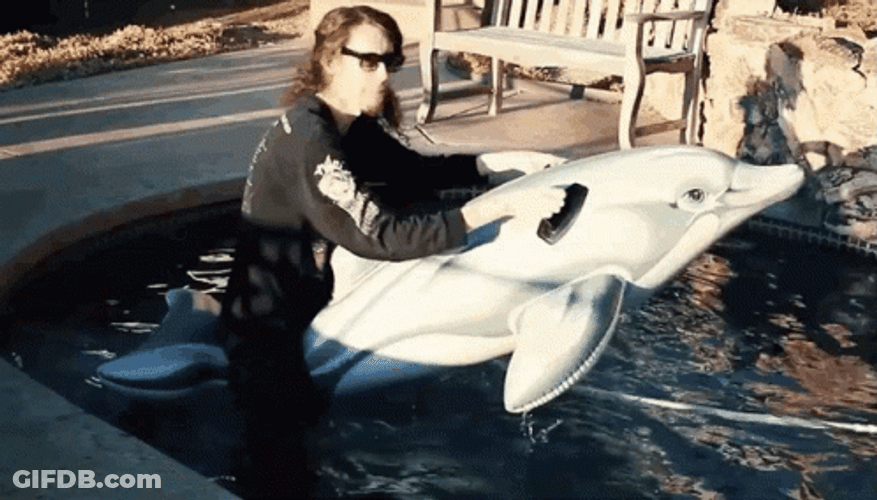 Riding An   Inflatable Dolphin GIF