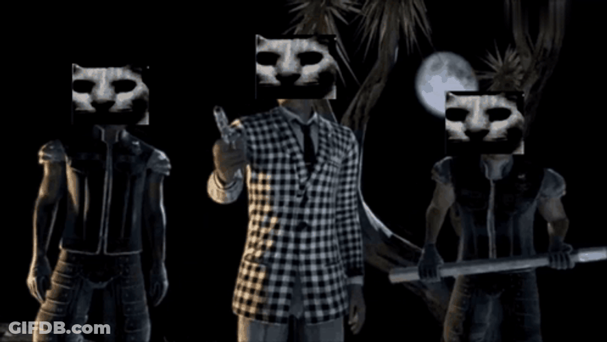 Rigged Cat Mask Full Moon GIF