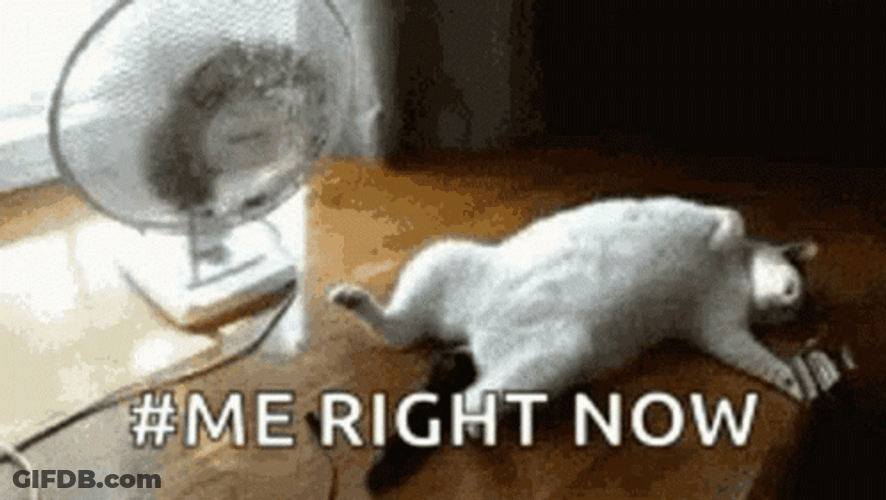 Right Now With A Hot Day GIF