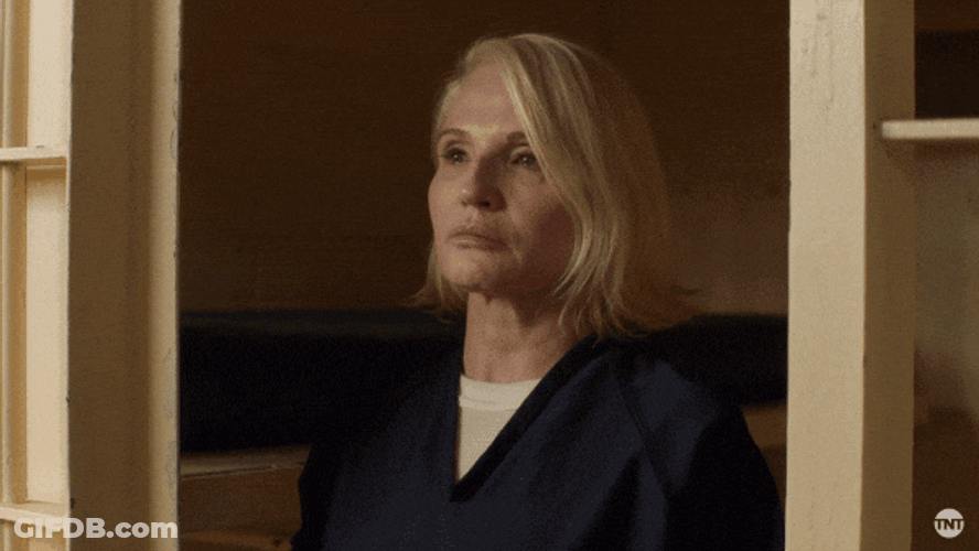 Right To Jail Ellen Barkin GIF