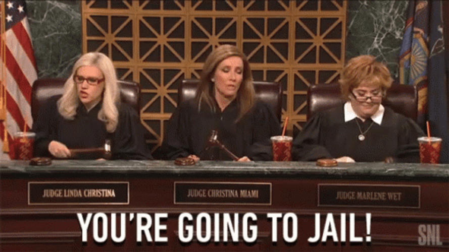Right To Jail Youre Going To Jail Judges GIF