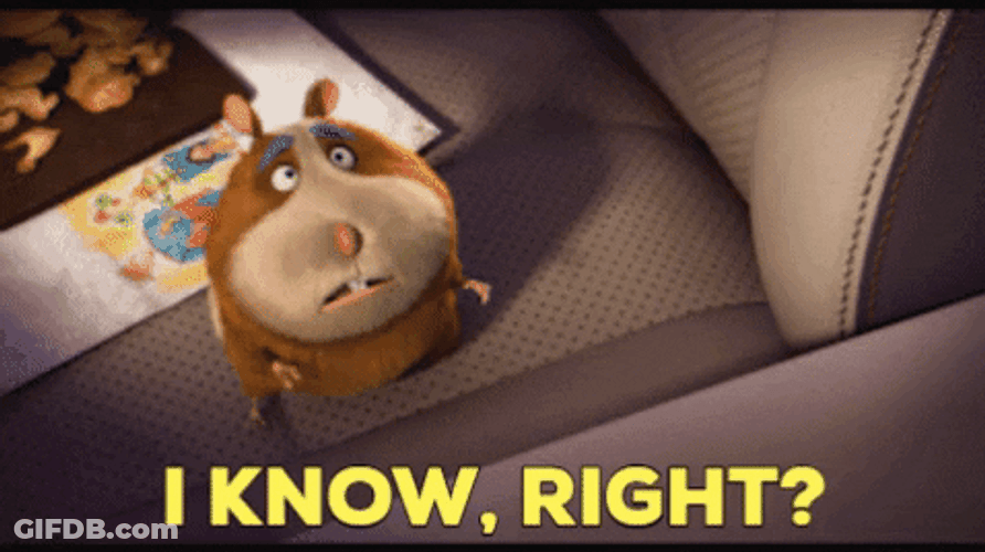 Riiiight Animal Crackers Movie GIF