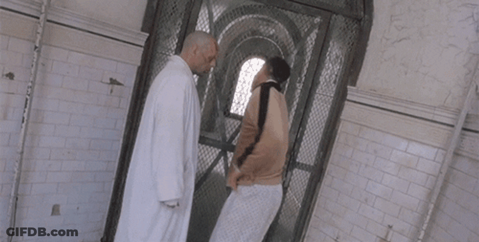 Riiiight Twelve Monkeys GIF