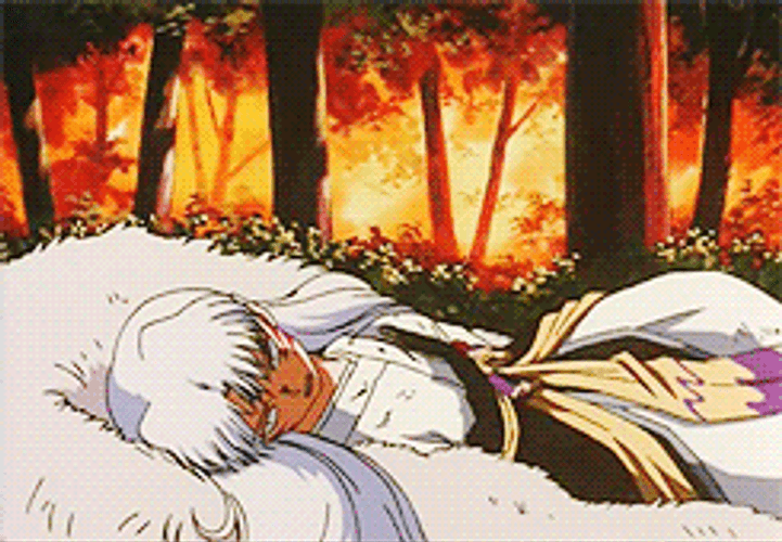 Rin Found Wounded Sesshomaru GIF