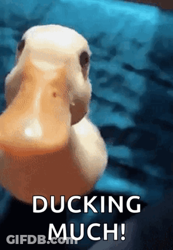 Ring Doorbell Girl With Red Hair Nopengoo GIF