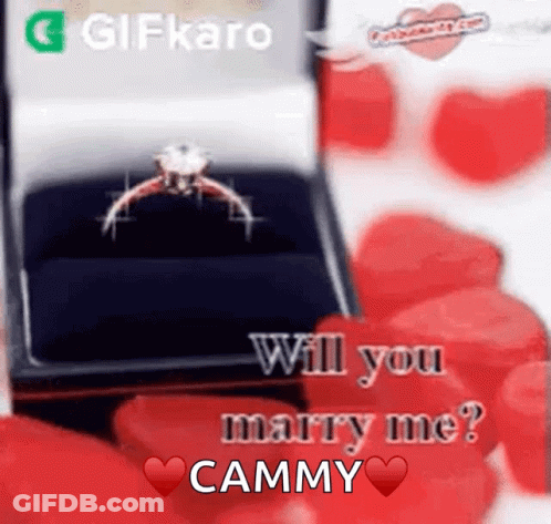 Ring In A Box Saying Will You Marry Me GIF