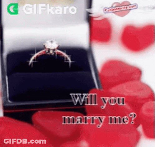 Ring In Box Saying Will You Marry Me GIF
