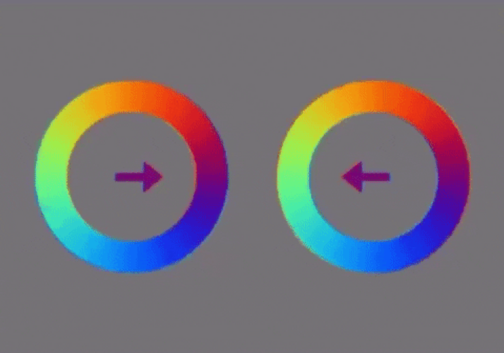 Ring Optical Illusion GIF