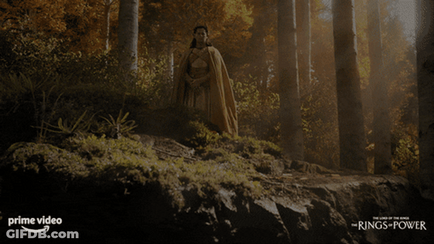 Rings Of Power Gil-Galad Noldor GIF