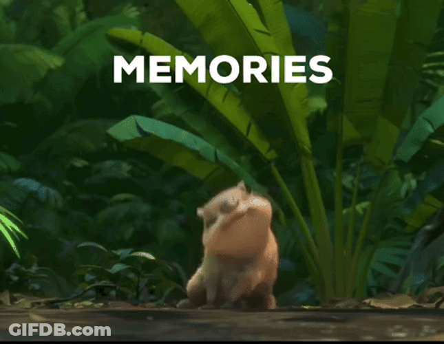 Rio 2 Memories GIF