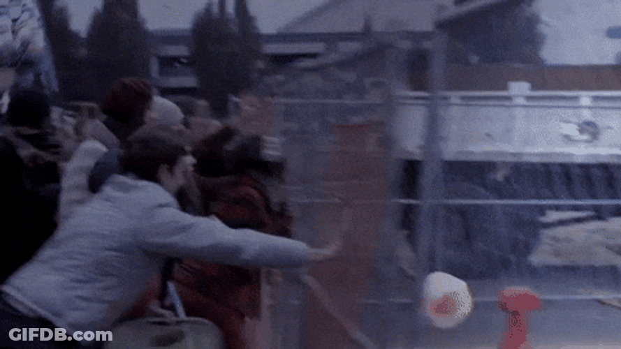 Riot Broke On The Fence GIF