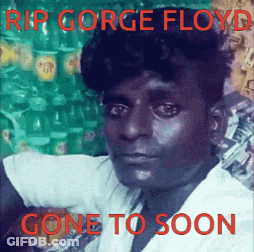 Rip George Floyd Gone Too Soon GIF