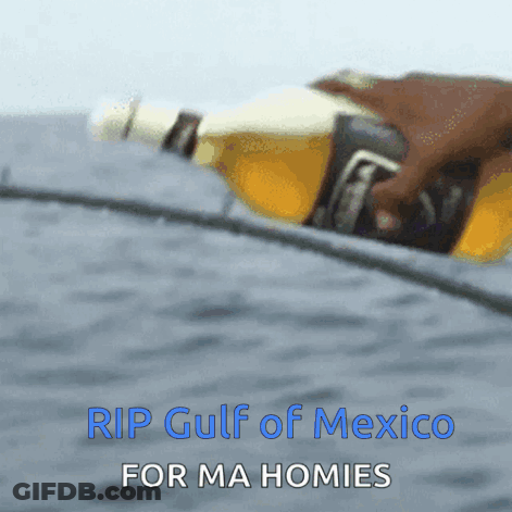Rip Gulf Of Mexico With Beer GIF