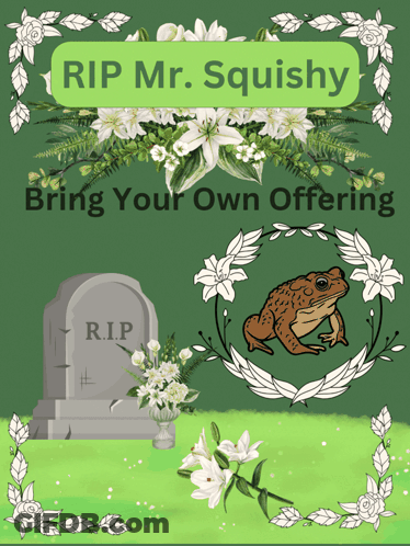RIP Mr. Squishy Bring Your Own Offering Gravestone Frog GIF