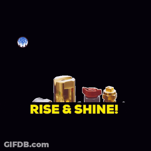 Rise And Shine Brass Fittings GIF