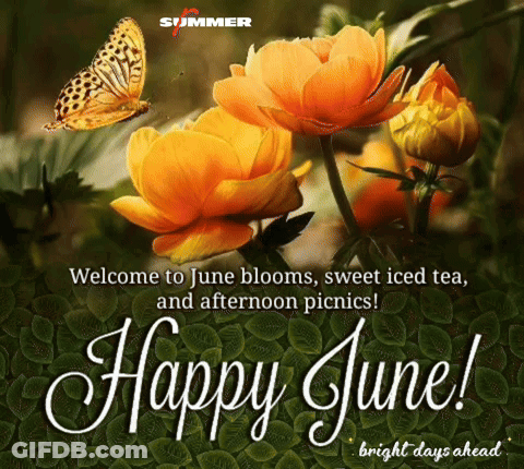 Rise And Shine Good Morning Wake Up Greeting Card GIF