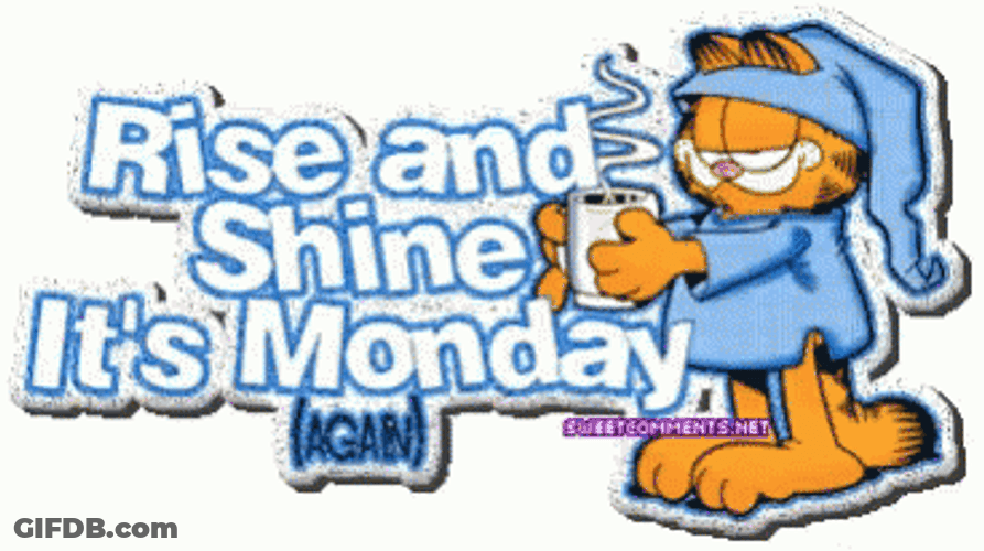 Rise And Shine It's Monday Blues GIF