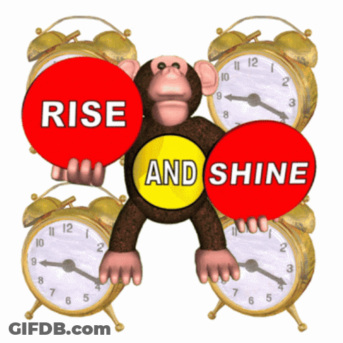 Rise And Shine Monkey Cartoon Clock GIF
