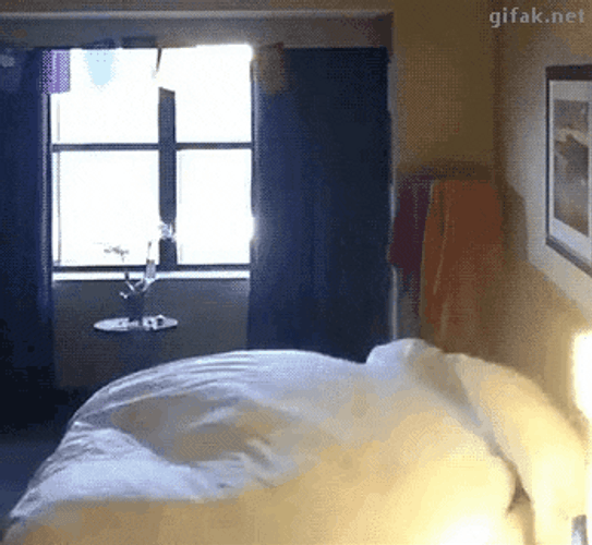Rise Out Bes Back Flip Good Morning Team GIF