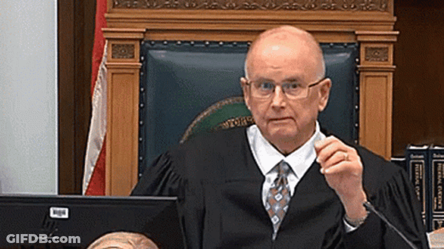 Rittenhouse Judge Best Picture Please GIF