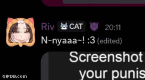 Riv Cat N-Nyaaa Text Message Screenshot GIF