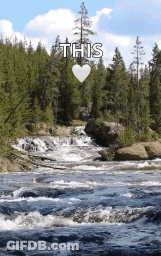 River Flowing Through Forest With Heart Saying This GIF