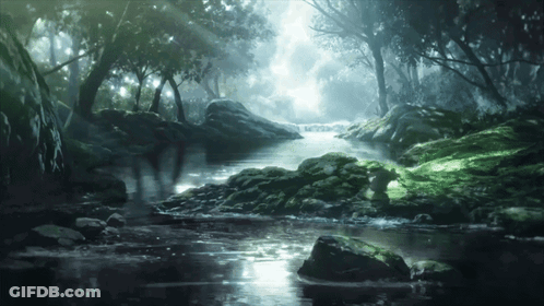 River Flowing Through Lush Green Forest GIF