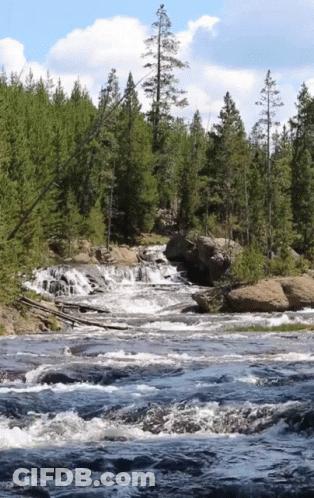 River GIF