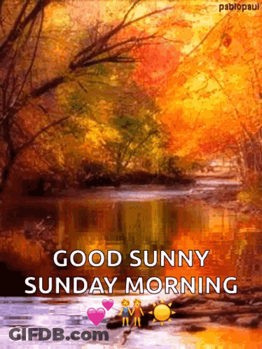 River Good Sunny Sunday Morning GIF