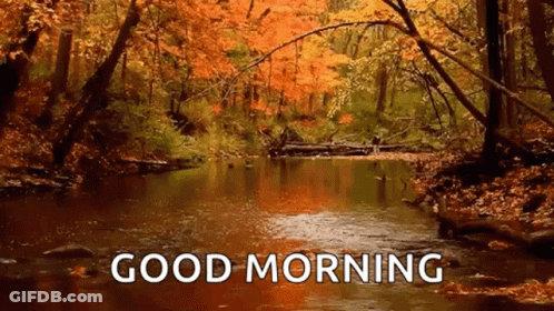 River In Forest Saying Good Morning GIF