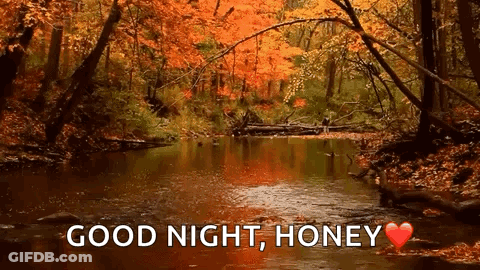 River In Forest Saying Good Night Honey GIF