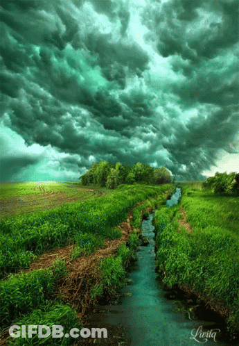 River Running Through Grassy Field GIF