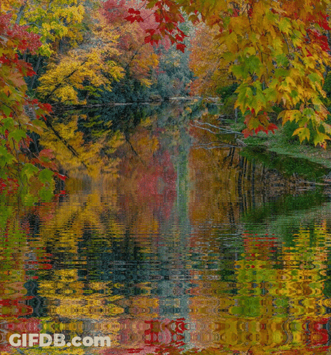 River Scene With Colorful Trees GIF