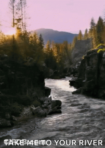 River Surrounded By Rocks And Trees Saying Take Me To Your River GIF