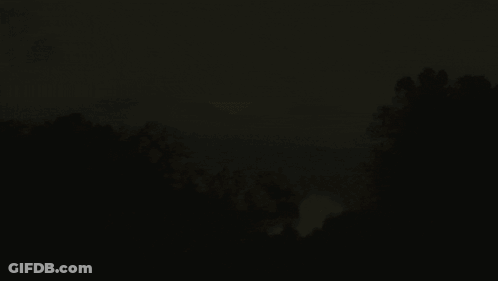 River Surrounded By Trees And Mountains GIF